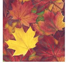 Paper Napkin - Harvest Harmony