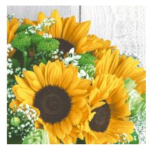 Paper Napkin - Harvest Sunflower