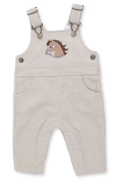AD Horse Overall