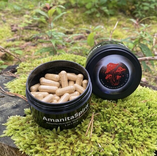 Container with 60 capsules – Dried Amanita Muscaria (Fly Agaric)
