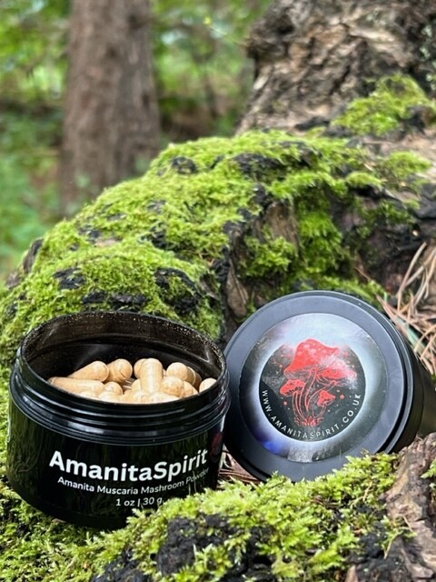 2x Containers with 120 capsules – Dried Amanita Muscaria (Fly Agaric)