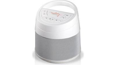 Soundcast Melody Outdoor/Indoor Wireless Speaker System