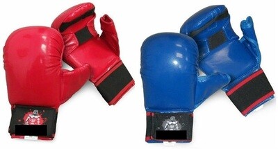 ITF Taekwon-Do Gloves
