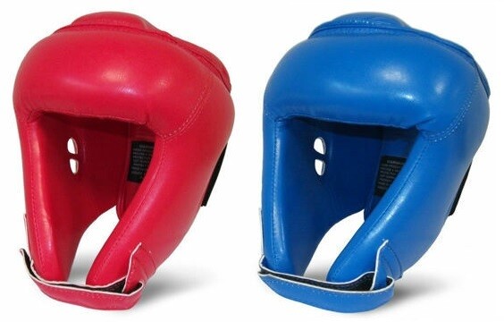 Head Guard
