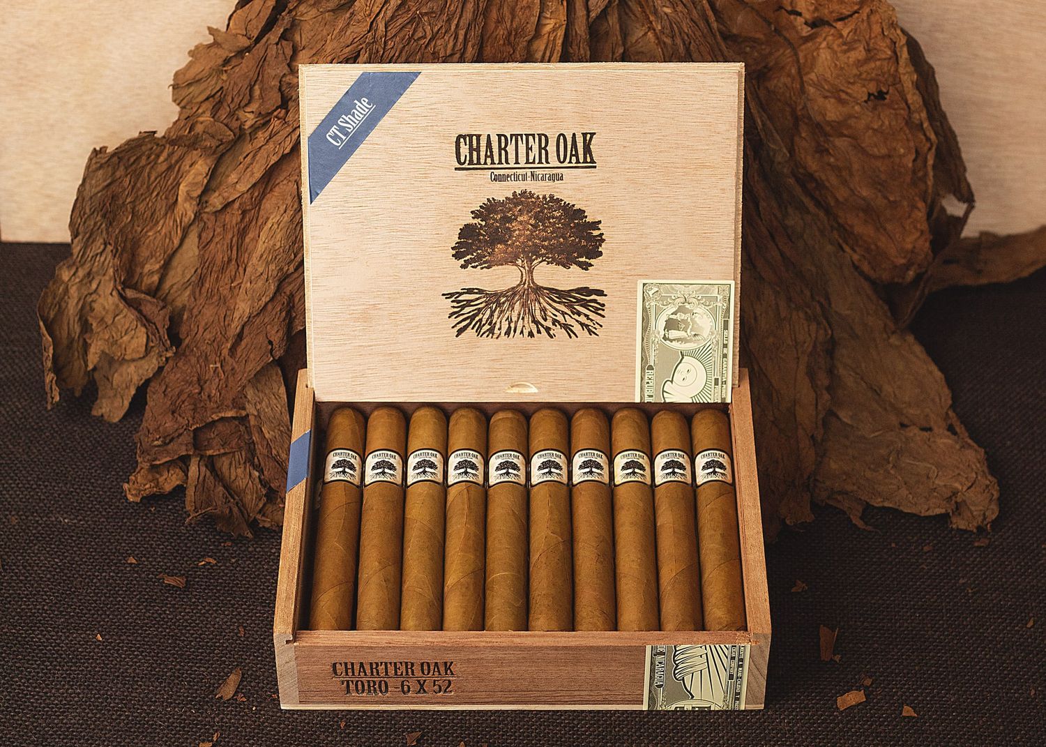 Single Cigar -Charter Oak CT Shade