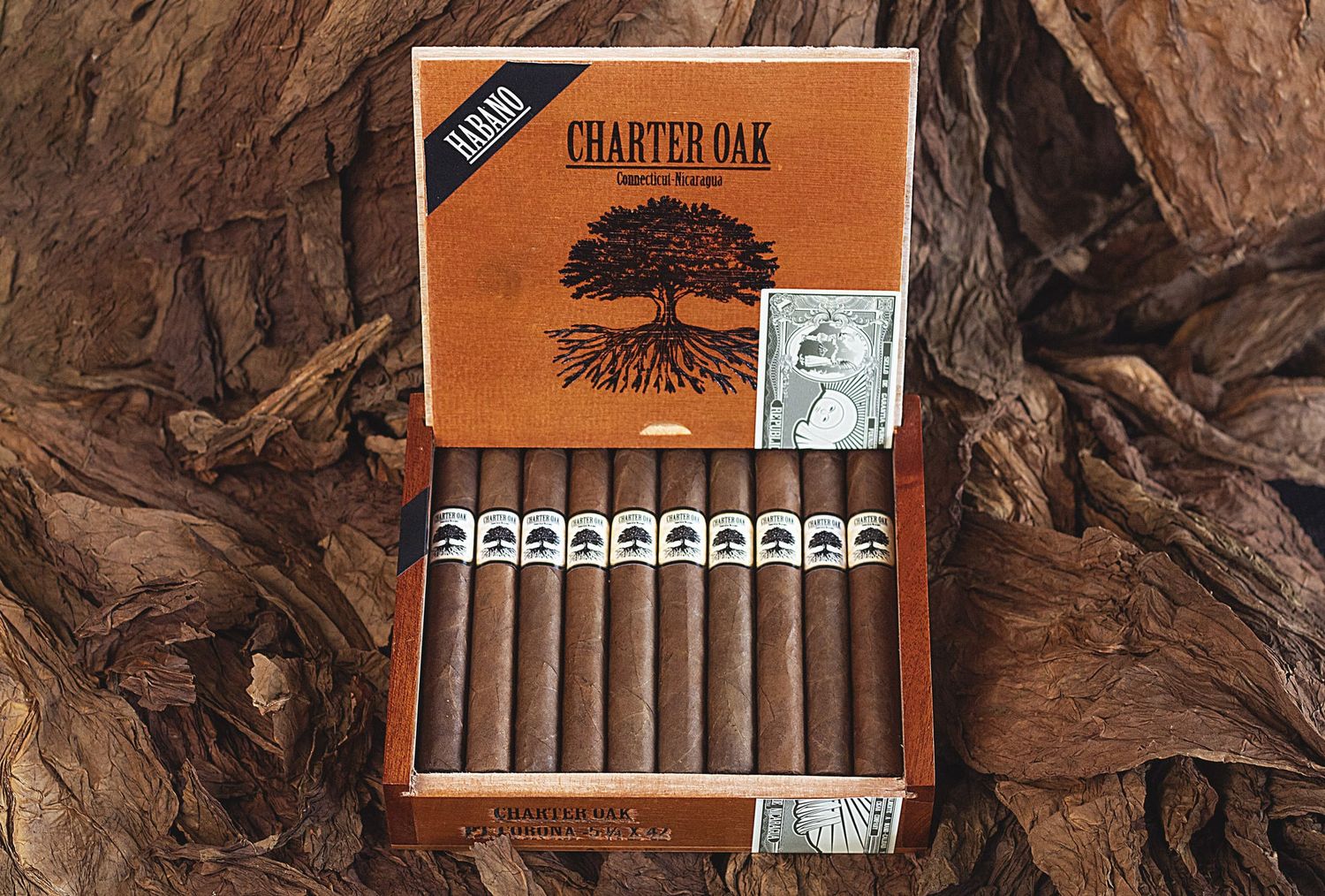 Single Cigar - Charter Oak Habano