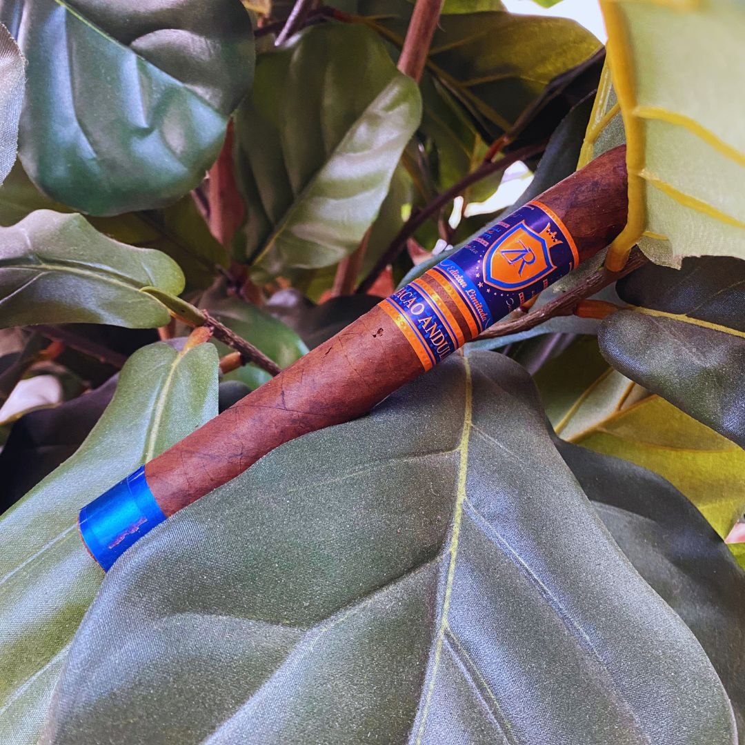 ZR Cigars - Macao Andullo