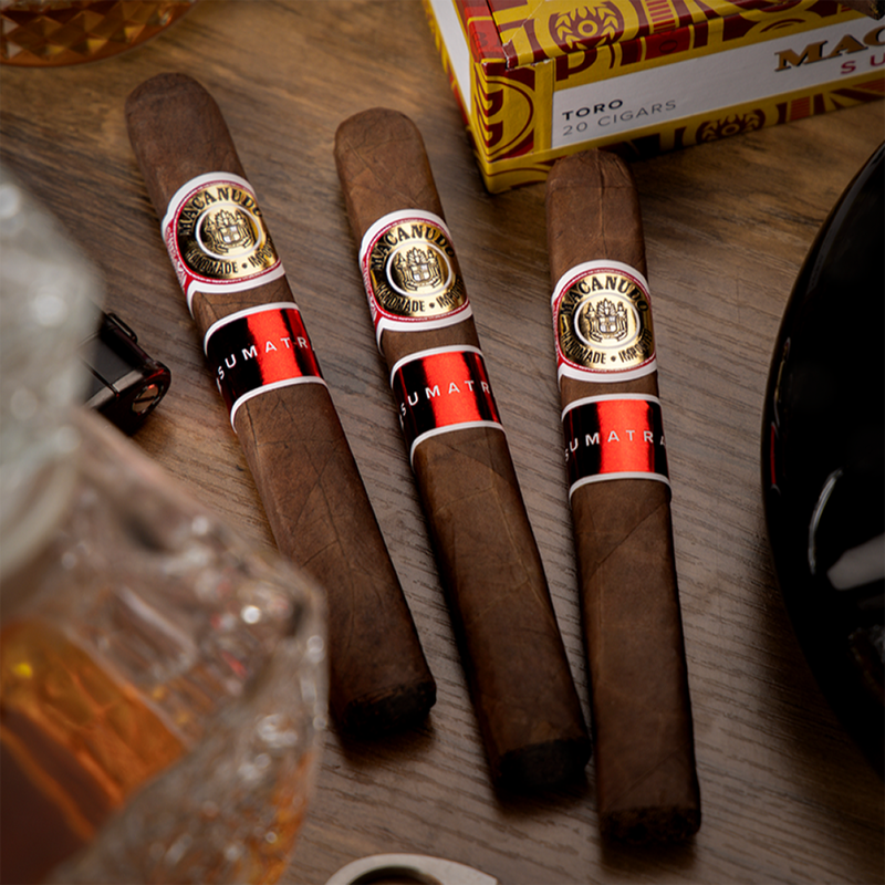 Macanudo Sumatra
