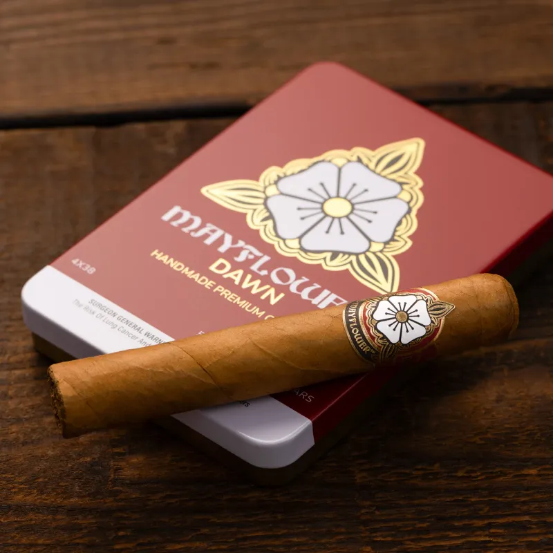 Mayflower Dawn Petite Corona (Tin of 5)