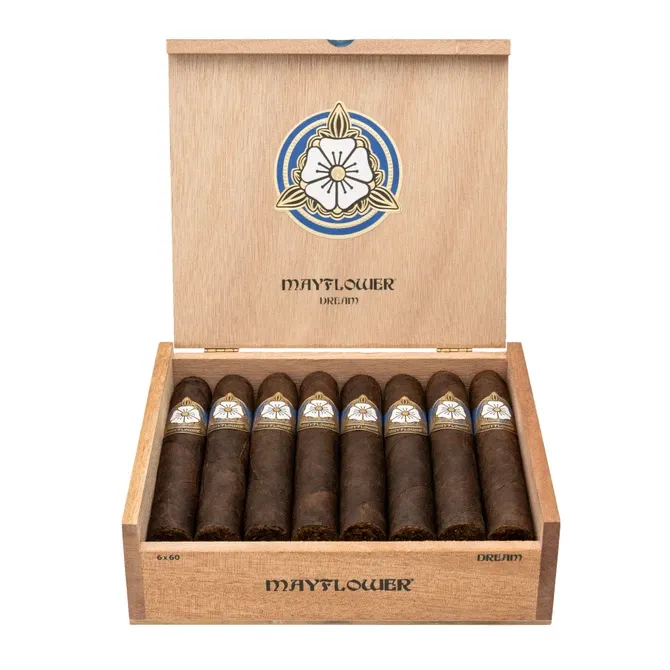 Mayflower Dream Toro Gordo