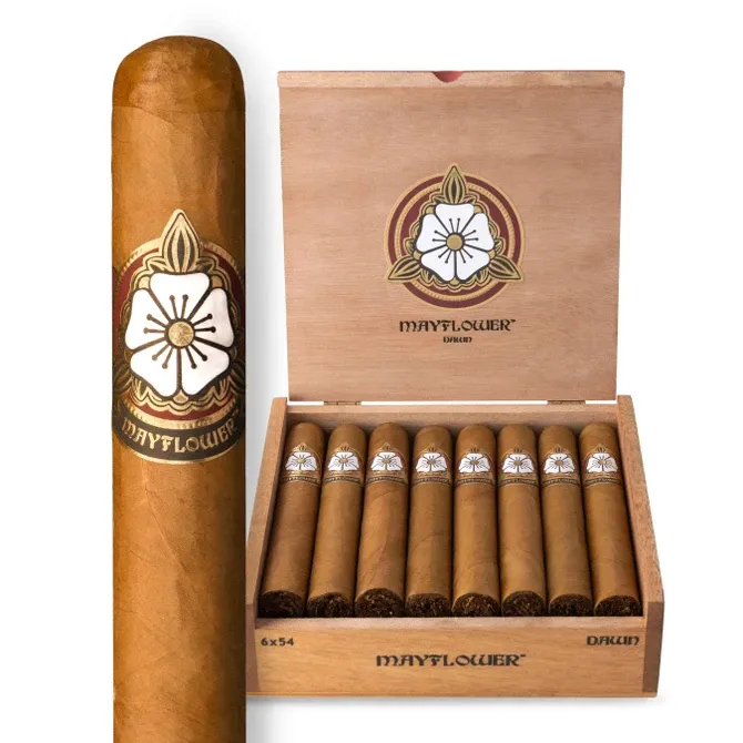Mayflower Dawn Toro
