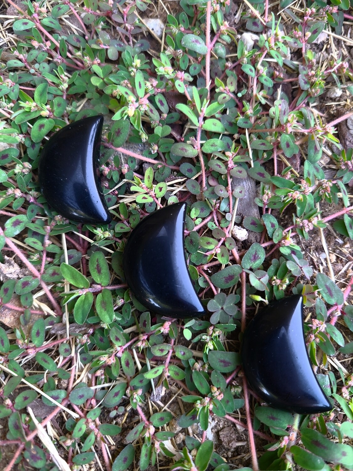 Obsidian Moon