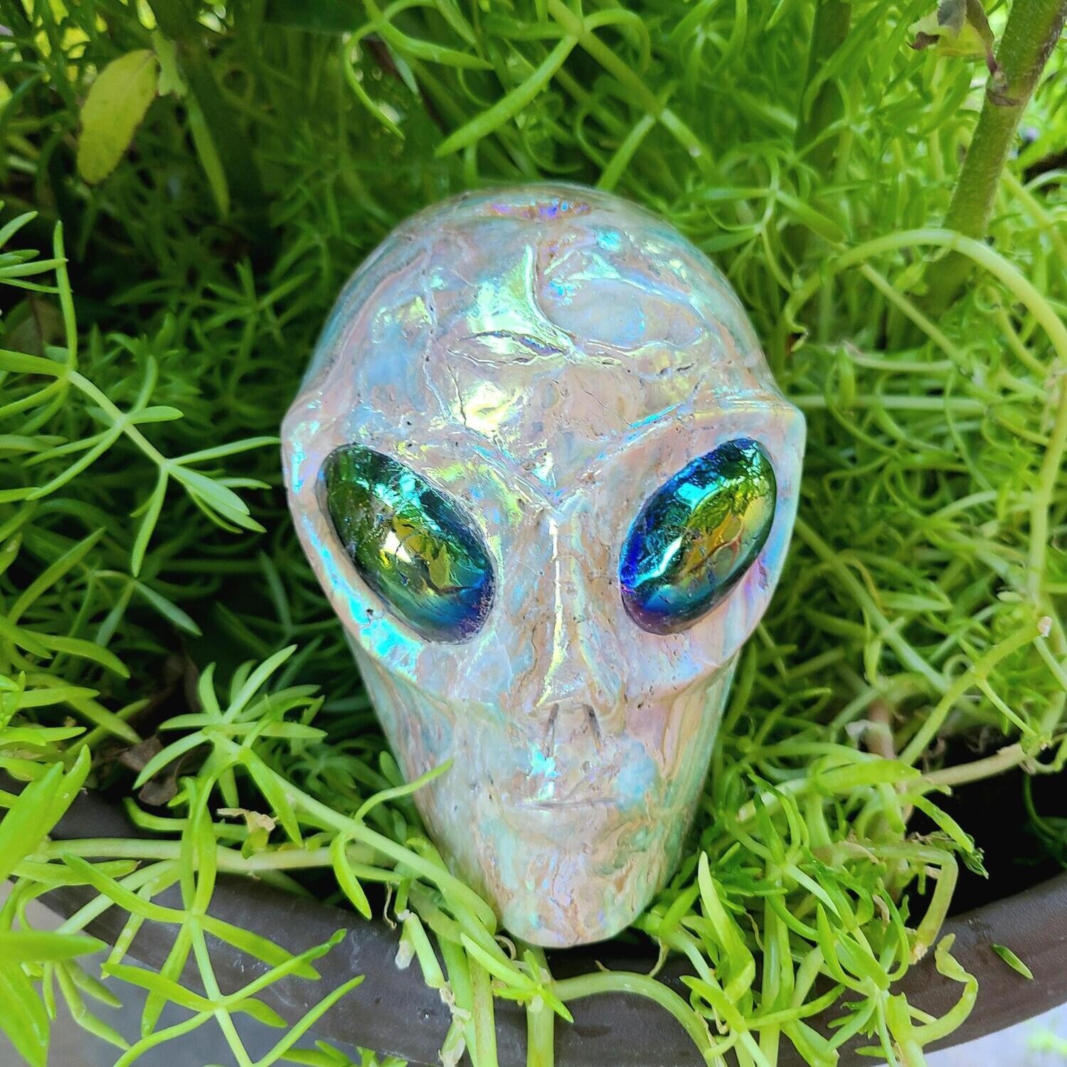 Blue Aura Aragonite Alien Skull