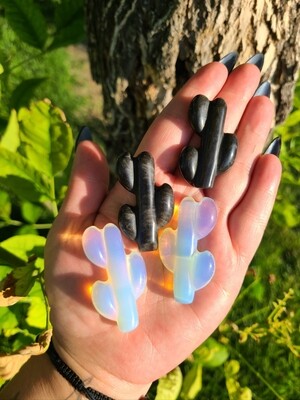 Cactus Crystal Cactus Crystal