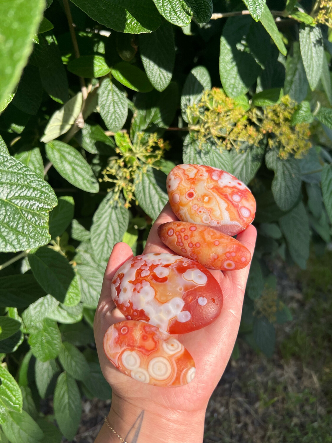 Eye Agate Palm Stone
