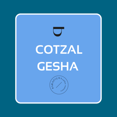COTZAL GESHA - QUICHE LAVADO