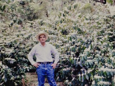 LIBANO - PACAMARA