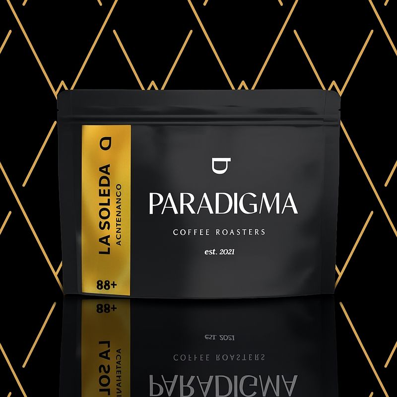SOLEDAD GEISHA