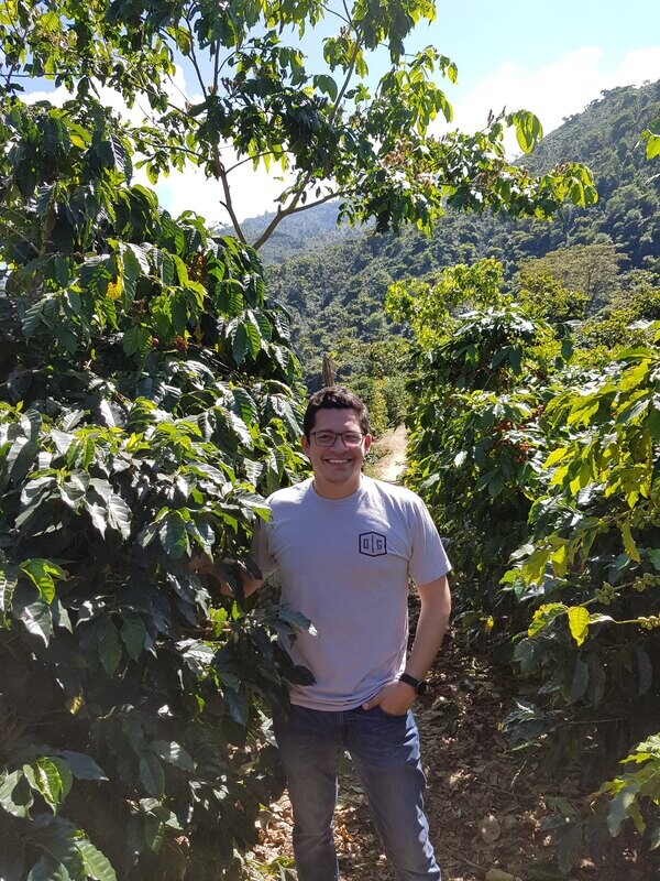 LAS ROSAS -  BOURBON - LAVADO -  HUEHUETENANGO