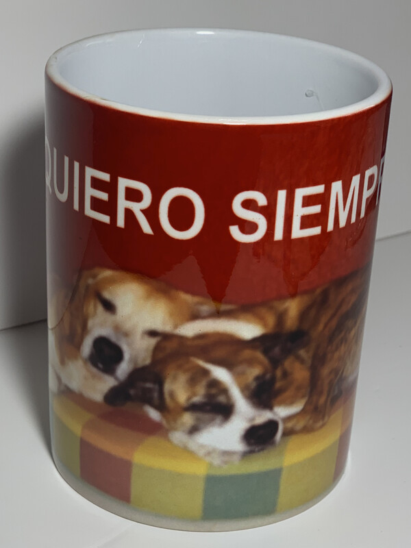 Taza