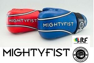 Sparring Gear - Punches