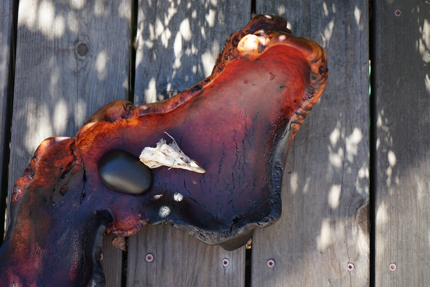 manzanita shell