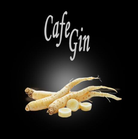 Square Capsule CoffeeGin caffe D'Italia