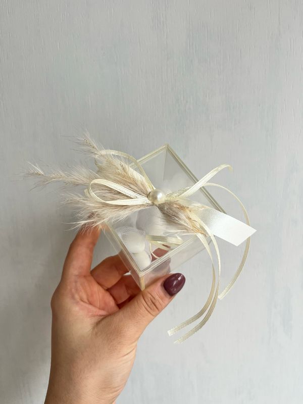 Κουτί Plexiglass