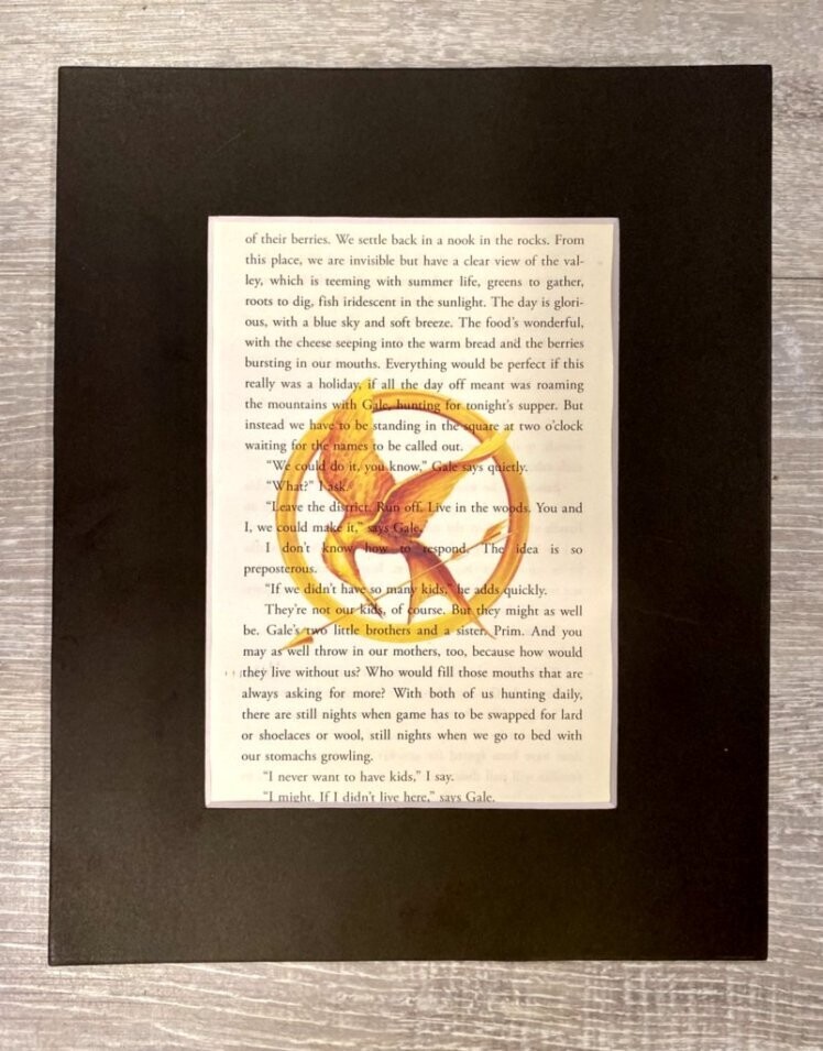 Mockingjay - Hunger Games