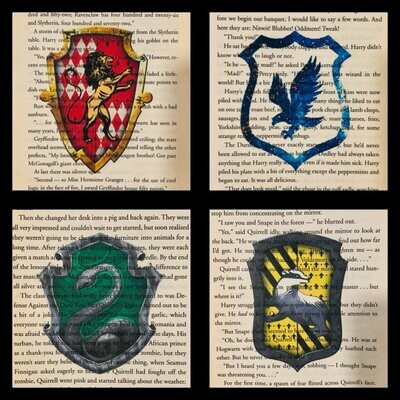 Choose Your House - HP
