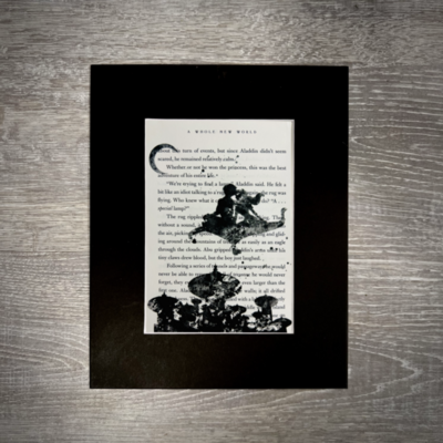 Magic Carpet Ride - A Whole New World