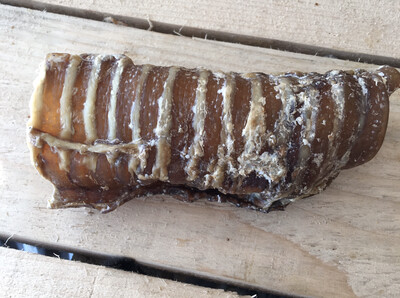Beef Trachea 12cm