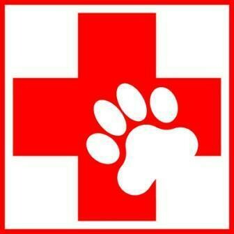 First Aid