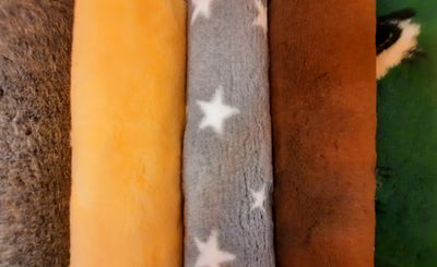 Vet Bed