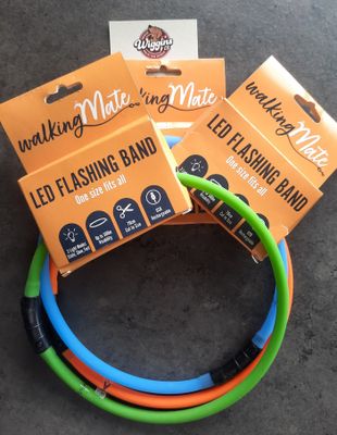 Walking Mate LED Flashing Band