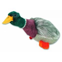 Happy Pet Migrator Mallard