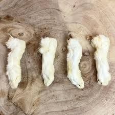 Hairy Rabbit Feet x5