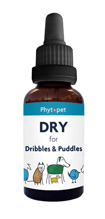 Dry - Herbal Support for Dribbles and Puddles 30ml