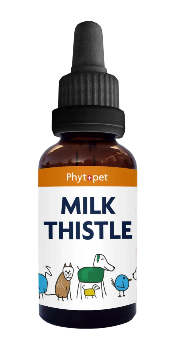Milk Thistle 100ml