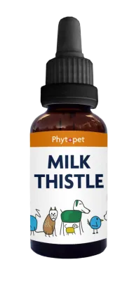 Milk Thistle 100ml