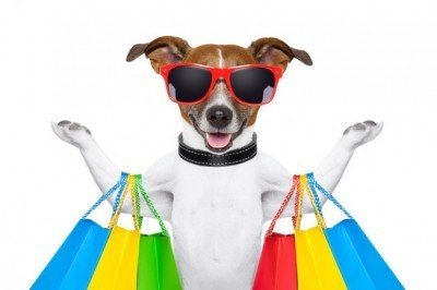 Dog Accessories