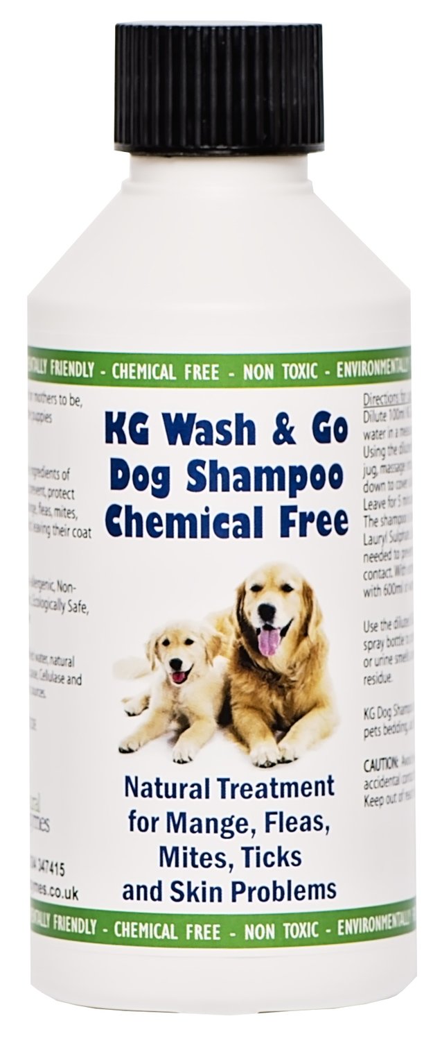 Chemical free hotsell dog shampoo