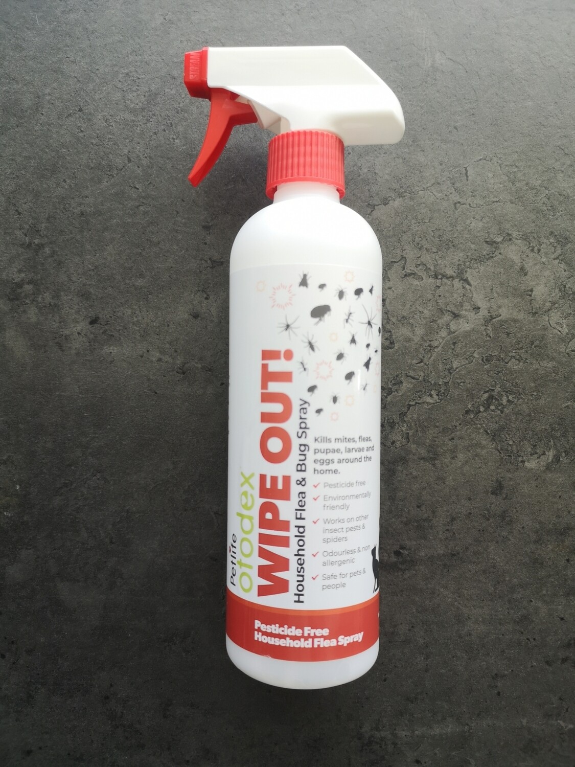 Wipe Out!