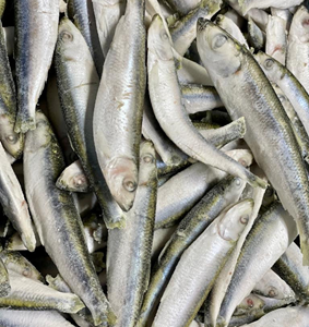 Sprats