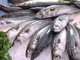 Whole Herrings 1kg