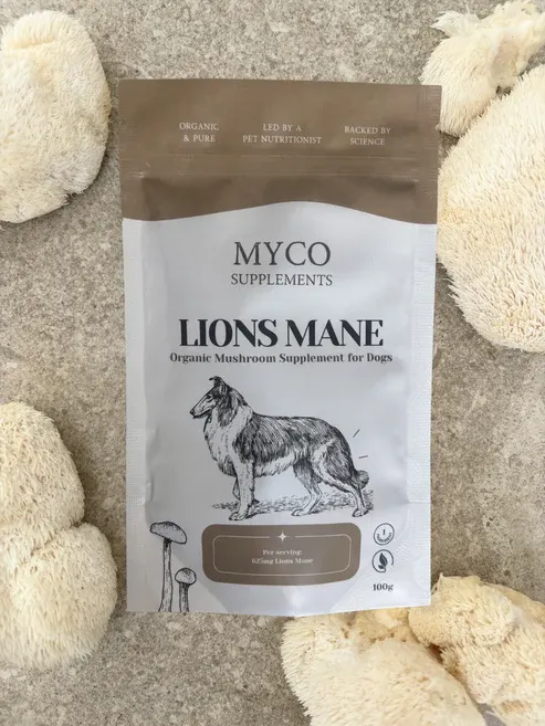 Lion's Mane