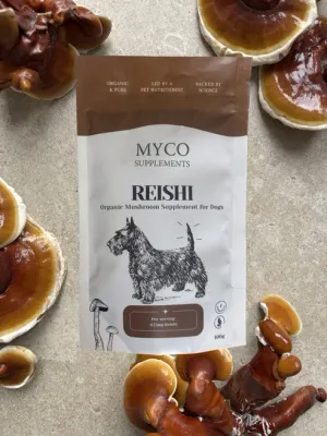 Reishi