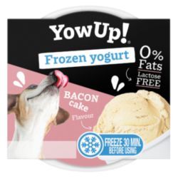 YowUp! Bacon Cake Frozen Yogurt 110g