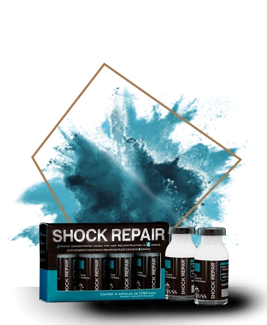 Truss Shock Repair