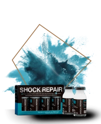 Truss Shock Repair